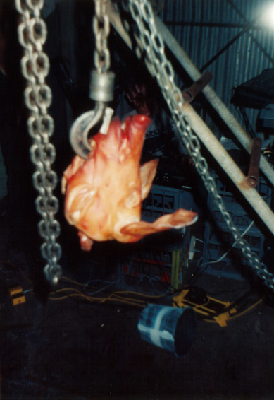 CSU live in '94 — photo 15